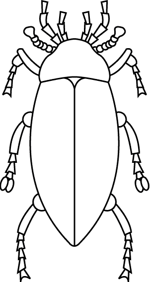 Biedronka kolorowanki
